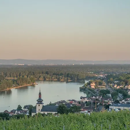 Apartament Hof Am Eichelsbach Nackenheim